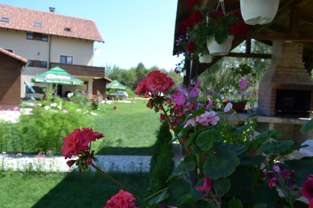Pensiunea Royal Garden Hotel Simbata de Sus Luaran gambar