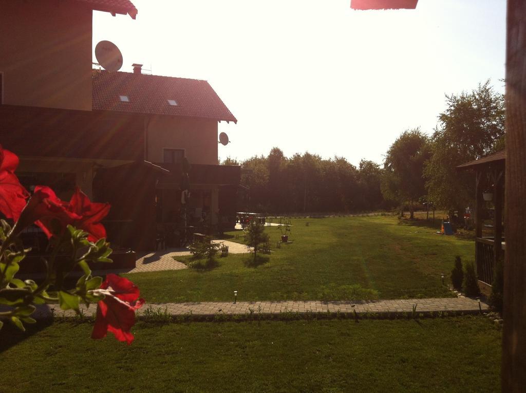 Pensiunea Royal Garden Hotel Simbata de Sus Luaran gambar