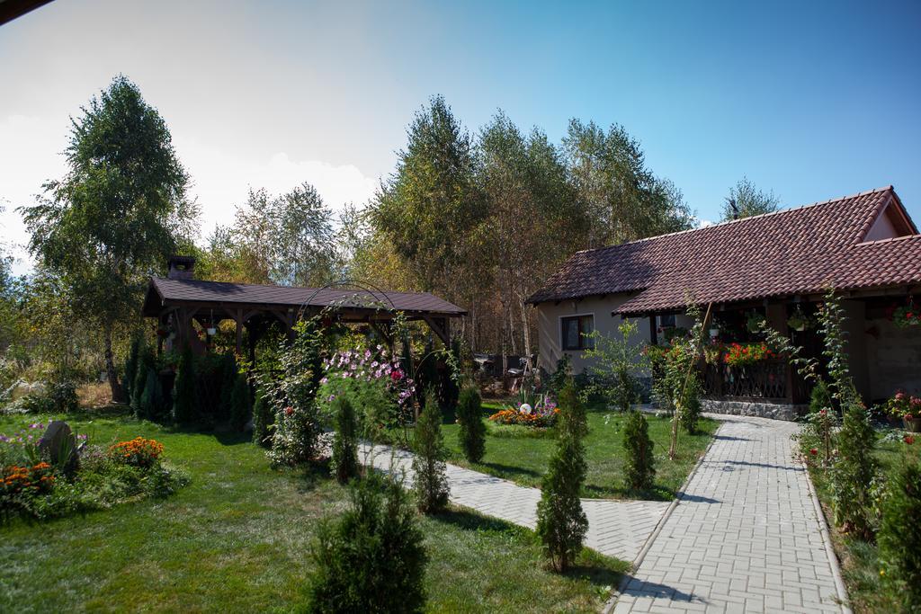 Pensiunea Royal Garden Hotel Simbata de Sus Luaran gambar